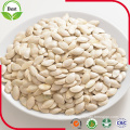 9-14mm Shine Skin Pumpkin Seeds